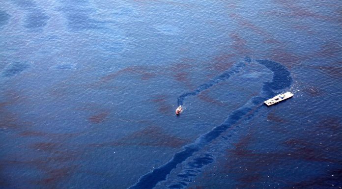 la brillante forma de limpiar derrames de petróleo en la que trabajan los científicos 1