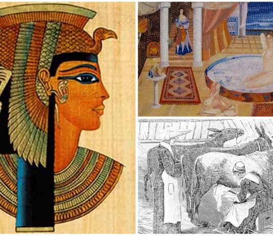 Beneficios de la Leche de Burra. ¿Tenía razón Cleopatra?