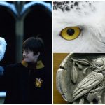 Harry y Hegwid, el significado espiritual de las lechuzas blancas