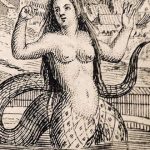 leyendas de sirenas, melusina