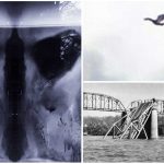 Mothman: 4 avistamientos del legendario hombre polilla