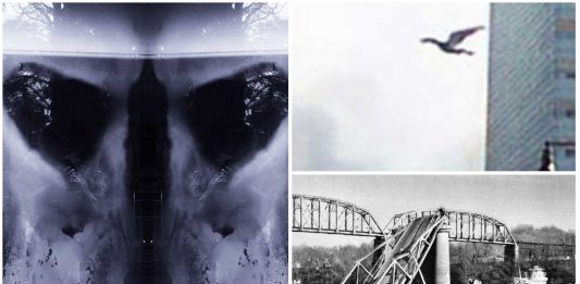 Mothman: 4 avistamientos del legendario hombre polilla