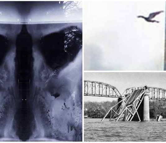Mothman: 4 avistamientos del legendario hombre polilla