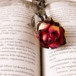 novelas que marcaron un hito en el romance