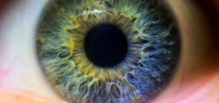 El misterio de los ojos violetas naturales
