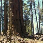 Monumentos naturales que han desaparecido con el paso del tiempo