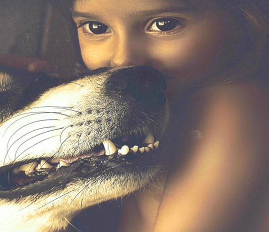 ¿La historia de Mowgli hecha REALIDAD? La niña hallada, criándose con monos en India resulta ser otra cosa ¿La historia de Mowgli hecha REALIDAD? La niña hallada, criándose con monos en India resulta ser otra cosa