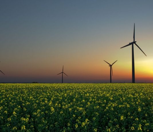The Solution Project, el plan para dar energía 100% renovable a 139 países The Solutions Project, el plan para dar energía 100% renovable a 139 países