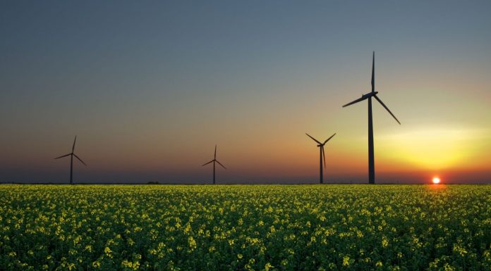 The Solutions Project, el plan para dar energía 100% renovable a 139 países