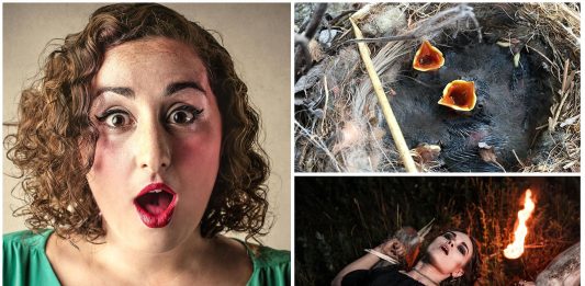 10 cosas que nos enseñaron de niños que ya no son ciertas