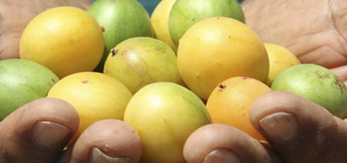 7 frutas comestibles que seguramente no conocías