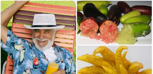 7 frutas comestibles que seguramente no conocías 7 frutas comestibles que seguramente no conocías