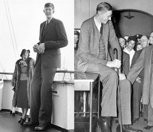 Robert Wadlow, el hombre más alto de la historia comprobado. ¿Cuánto medía?