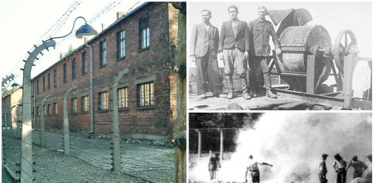 La rebelión en Auschwitz. No todos claudicaron