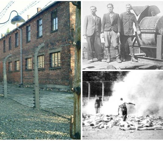 La rebelión en Auschwitz. No todos claudicaron