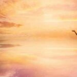 tipos de reencarnacion