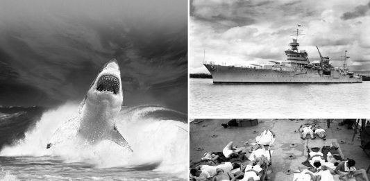 El PEOR ataque de tiburones de la historia. De pesadilla