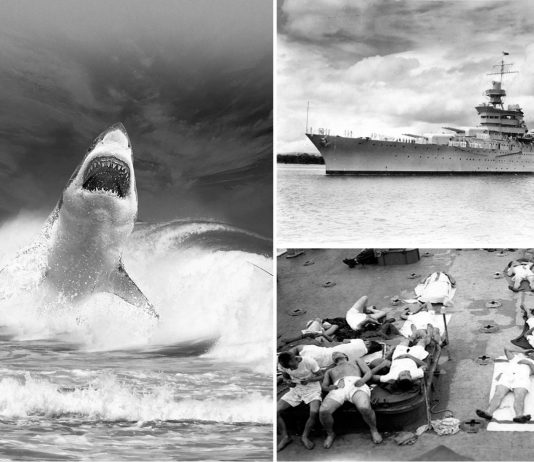 El PEOR ataque de tiburones de la historia. De pesadilla