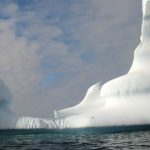 La Antártica se está tornando más verde y este es la razón