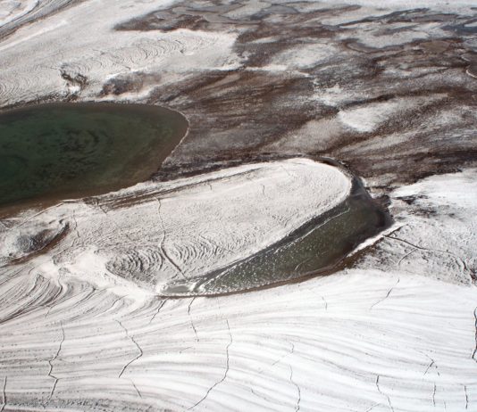Las enfermedades escondidas en el hielo que están despertando gracias al calentamiento global