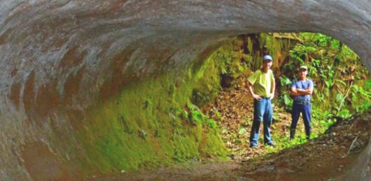Hallan unos MISTERIOSOS túneles que NO cavó el ser humano. ¿Qué gigantesca criatura lo hizo?