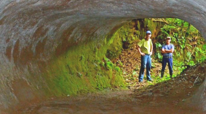 Hallan unos MISTERIOSOS túneles que NO cavó el ser humano. ¿Qué gigantesca criatura lo hizo?