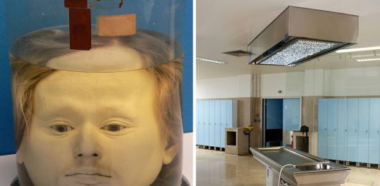 ¿Por qué una universidad conserva la cabeza de un asesino del siglo XIX?