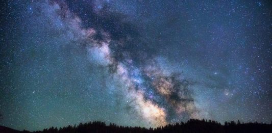 ¿Verdad o Mentira? ¿Hay más árboles en la Tierra que estrellas en la Vía Láctea? ¿Verdad o Mentira ¿Hay más árboles en la Tierra que estrellas en la Vía Láctea