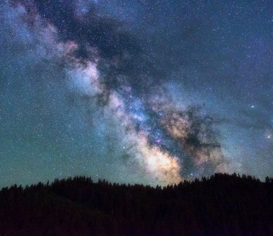 ¿Verdad o Mentira? ¿Hay más árboles en la Tierra que estrellas en la Vía Láctea? ¿Verdad o Mentira ¿Hay más árboles en la Tierra que estrellas en la Vía Láctea