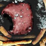 antrax, enfermedades, hielo