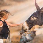 No adivinarás la especie animal que ahora se encuentra en peligro de extinción