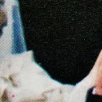 Charles y Diana de Gales