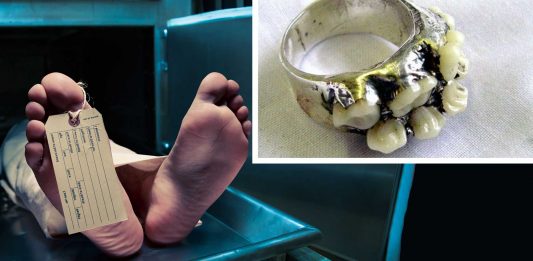 Estas cosas hechas de humano son bastante perturbadoras (2)