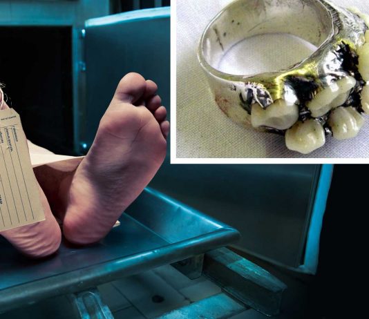 Estas cosas hechas de humano son bastante perturbadoras Estas cosas hechas de humano son bastante perturbadoras (2)