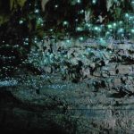 4 de las más alucinantes cuevas del mundo