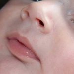 5. Los labios de los seres humanos son rojos debido a la gran cantidad de pequeños capilares que hay debajo de la piel y que tienen una sangre muy oxigenada y por lo tanto bastante roja. Si estás anémico tus labios estarán más pálidos, lo mismo que si hace frío, ya que los capilares se contraen.