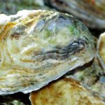 10 asombrosos datos científicos que seguramente NO conocías