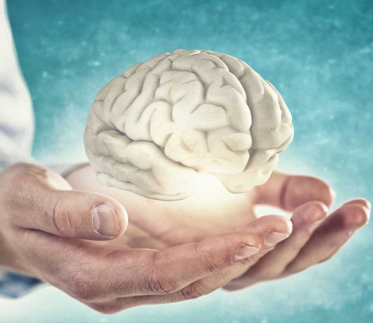 ¿Cuál es el mejor ejercicio para tu cerebro? ¿Cuál es el mejor ejercicio para tu cerebro