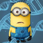El origen de los Minions según la ciencia. ¿”Descendientes» de los humanos?