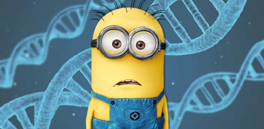 El origen de los Minions según la ciencia. ¿”Descendientes» de los humanos? El origen de los Minions según la ciencia. ¿”Descendientes" de los humanos?