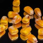 Los castigos más comunes en las escuelas antiguas