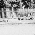 4 terribles genocidios históricos que quizá no conocías