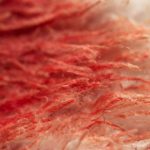 menstruación en el pasado, tela con sangre