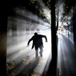 El «Efecto Tiburón» o miedo instintivo evolutivo que padecemos hoy