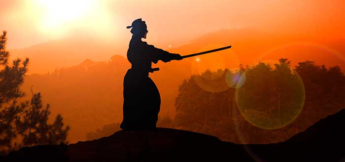 vida de un samurai, entrenar