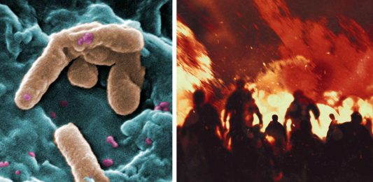 Superbacterias que amenazan a la humanidad : Pseudomonas aeruginosa Superbacterias que amenazan a la humanidad : Pseudomonas aeruginosa
