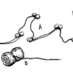 Los Tampones con cocaína para las afecciones ginecológicas. ¡Demencial!