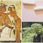 Tampones en la historia. ¿Sabías que las egipcias ya los usaban?
