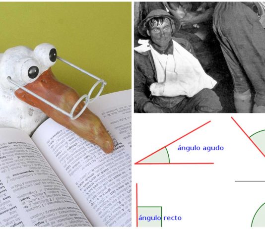 Tonto, Zopenco, Necio, Obtuso…¿sabes el origen de estos insultos? Tonto, Zopenco, Necio, Obtuso...¿sabes el origen de estos insultos?