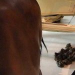 5 motivos por los que te asquearía vivir en el siglo XVIII